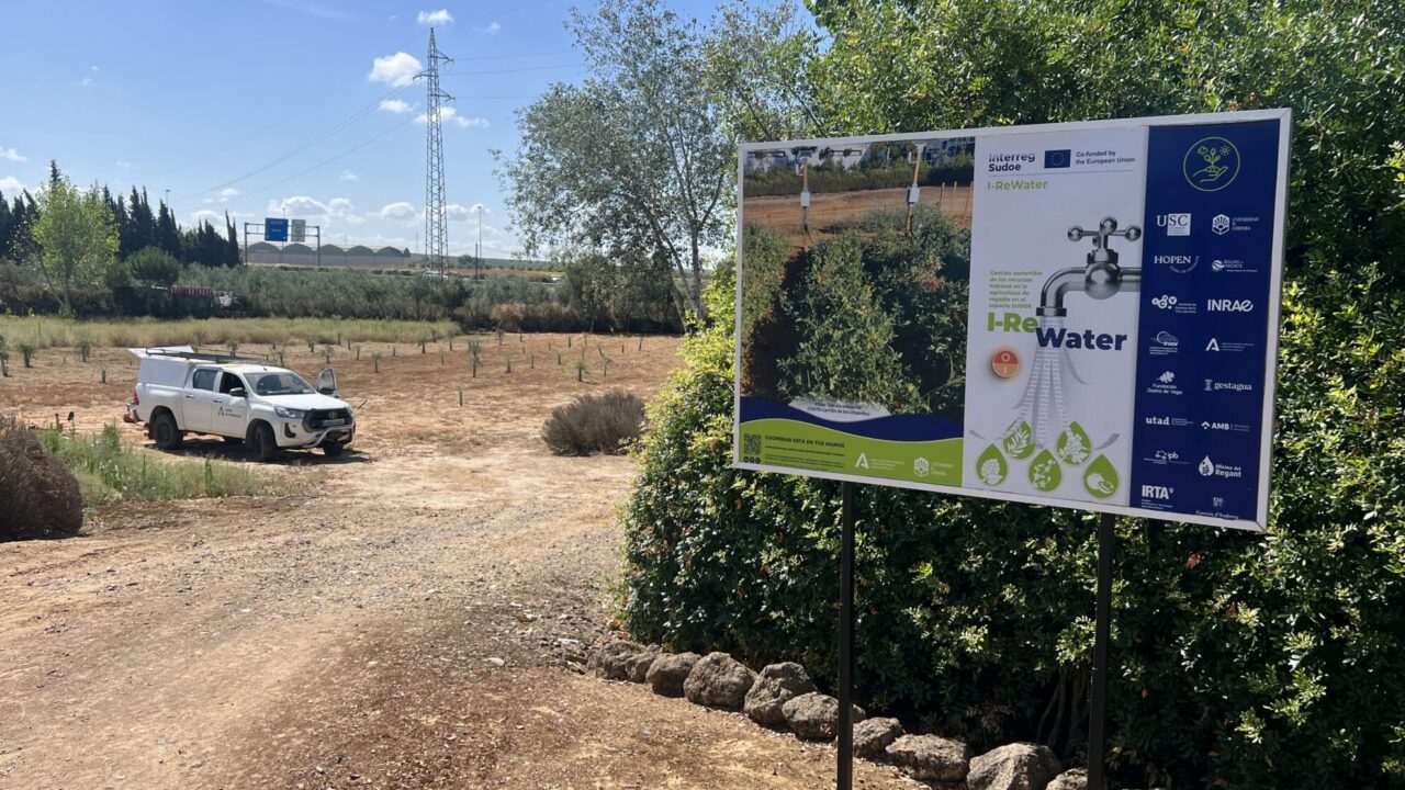 I-ReWater_PilotoHorticola_TomateIndustrial_UCO-AMAya