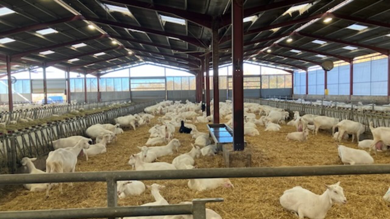 Caso piloto en el Perigórd