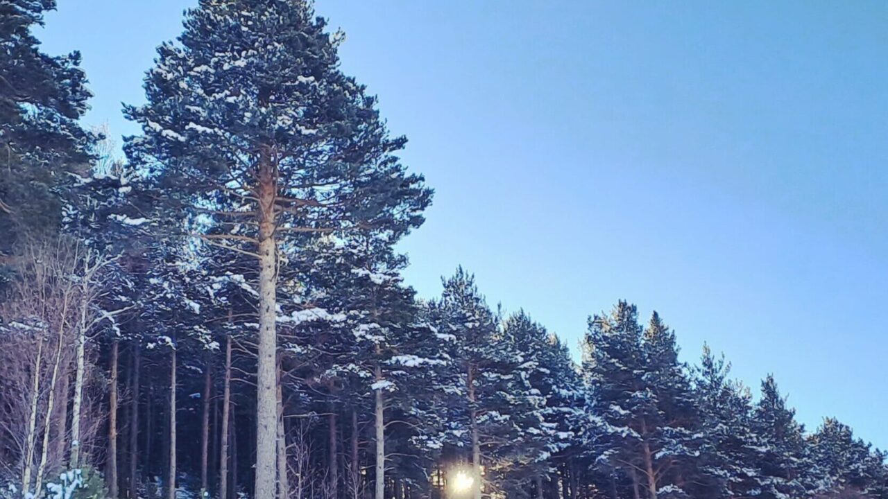 IMG_20221206_120624_747