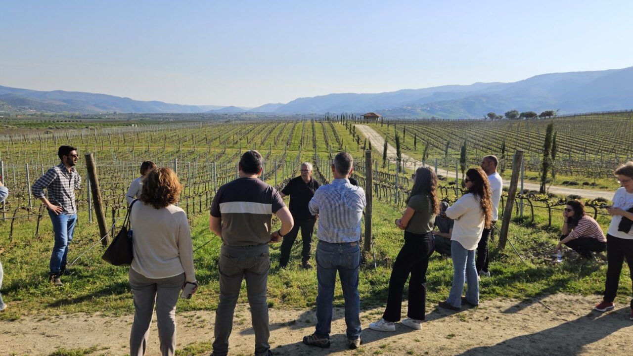 Visite du site pilote portugais situé à Quinta do Ataíde (Symington Family Estates), dans la vallée du Douro