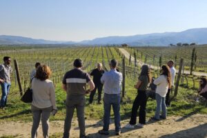 Visite site pilote portugais situé à Quinta do Ataíde (Symington Family Estates), dans la vallée du Douro