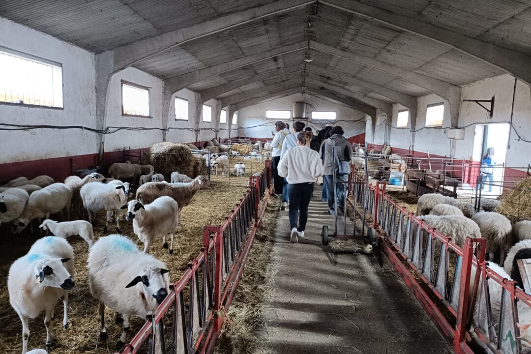 Imagen de WhatsApp 2024-09-25 a las 18.00.43_27d498ae