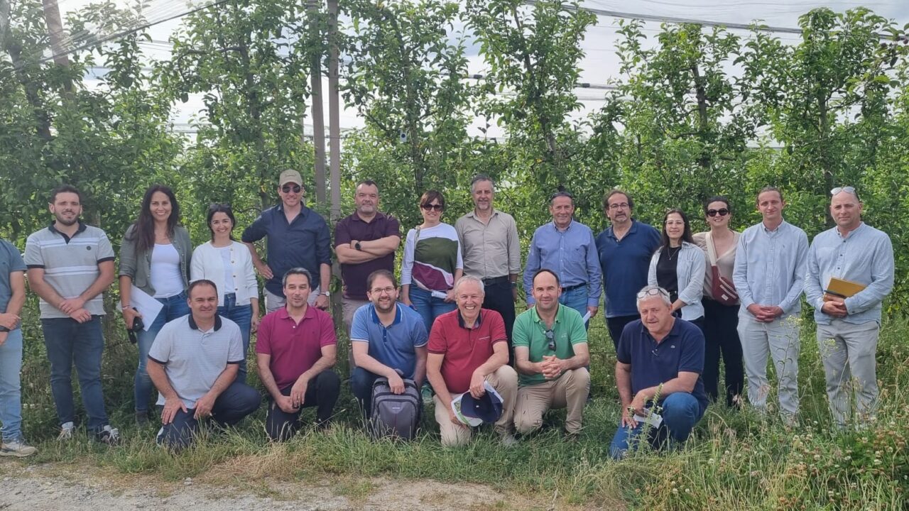 Imagen de WhatsApp 2025-06-05 a las 09.58.55_976be622