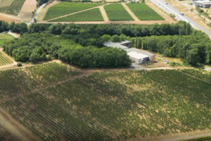 Imagen destacada 2 Gaillac