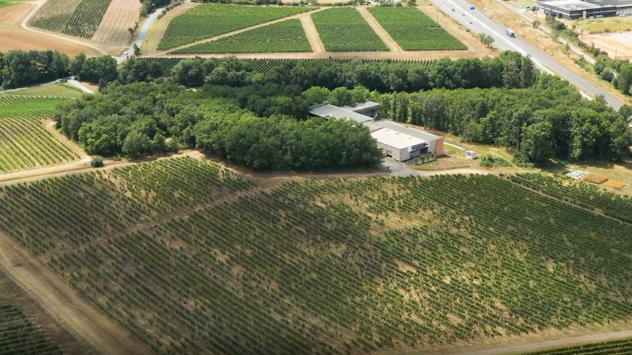 Imagen destacada 2 Gaillac