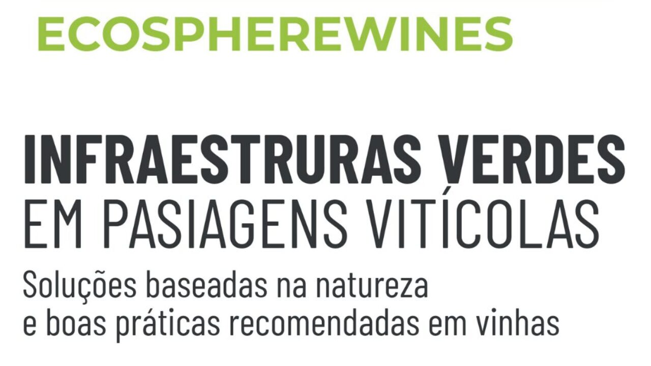 Imagen destacada resúmenes prácticos PT