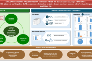 Inforgrafía Minilioto INTecum_GSS-FR