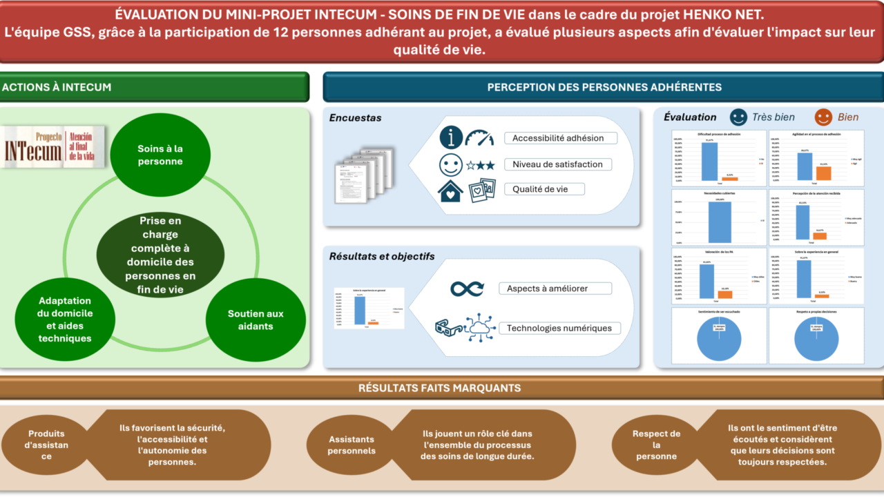 Inforgrafía Minilioto INTecum_GSS-FR