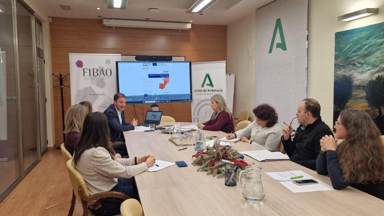 Alianzas institucionales ESOR