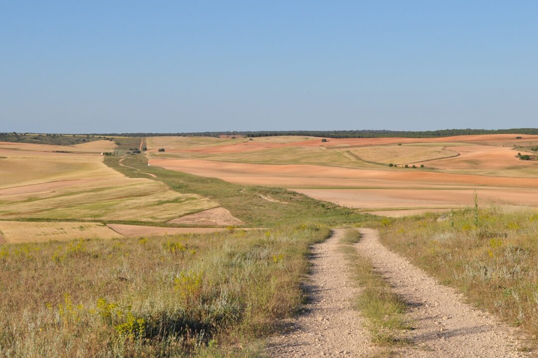 Cañada Real Conquense. Autor: José Antonio González Novoa.