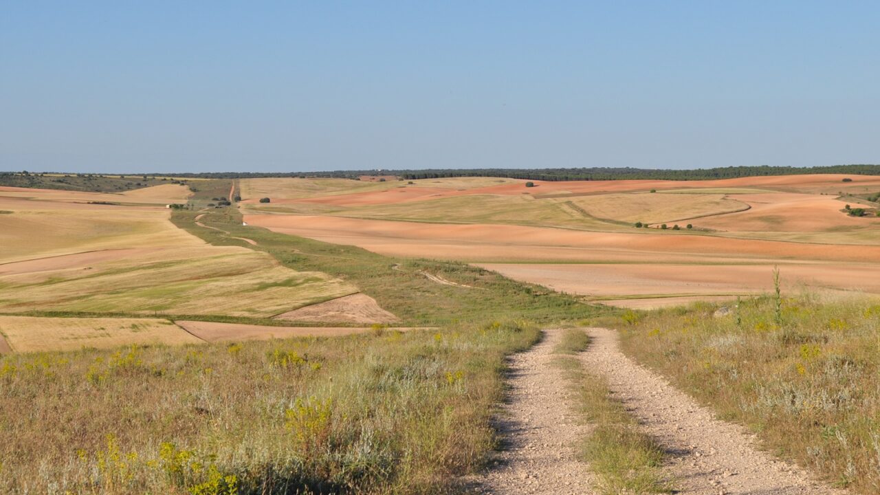 Cañada Real Conquense. Autor: José Antonio González Novoa.