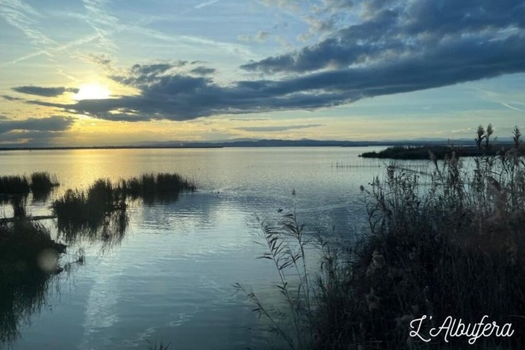 L’Albufera
