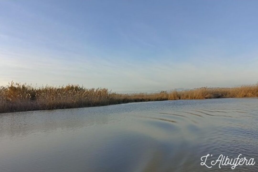 L’Albufera