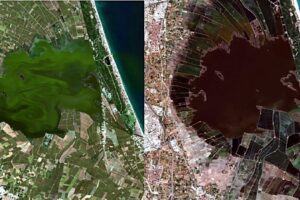 L'Albufera foto noticia