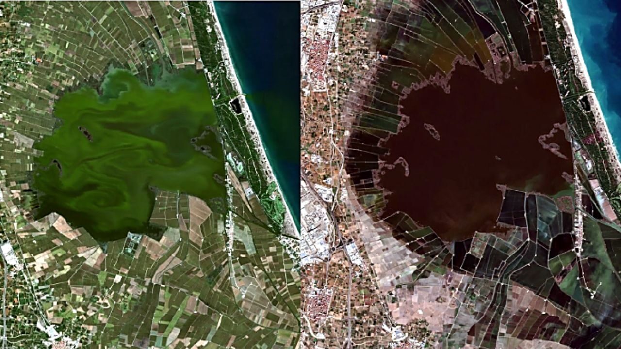 L'Albufera foto noticia