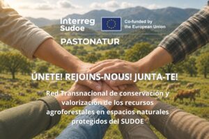 Noticia_ES