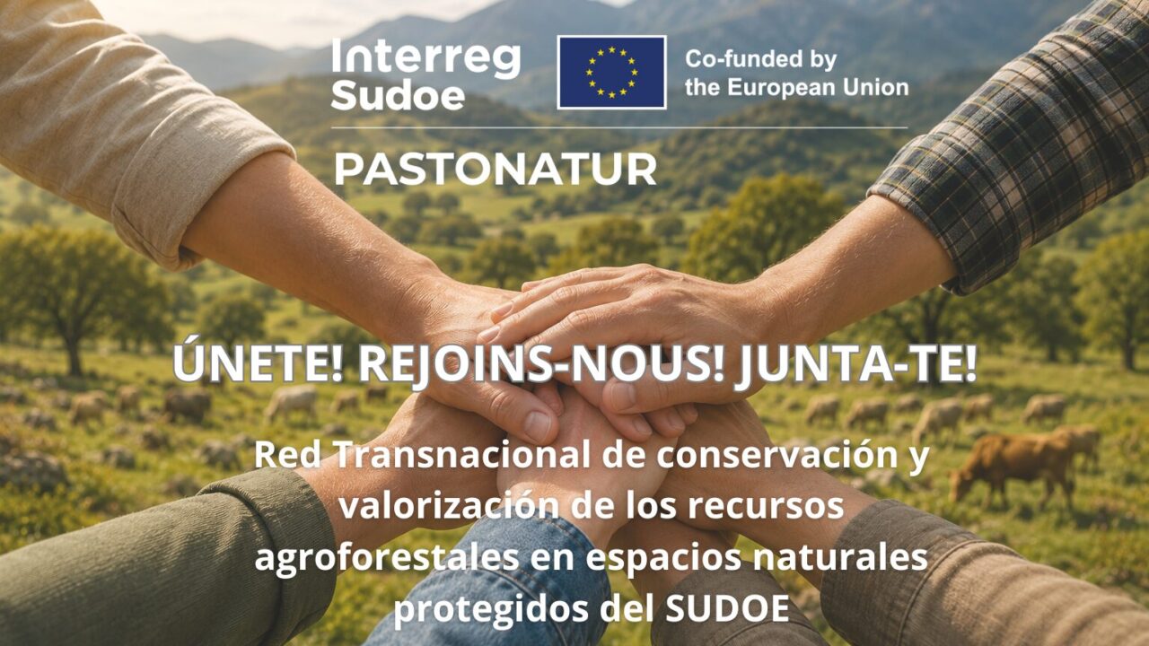 Noticia_ES