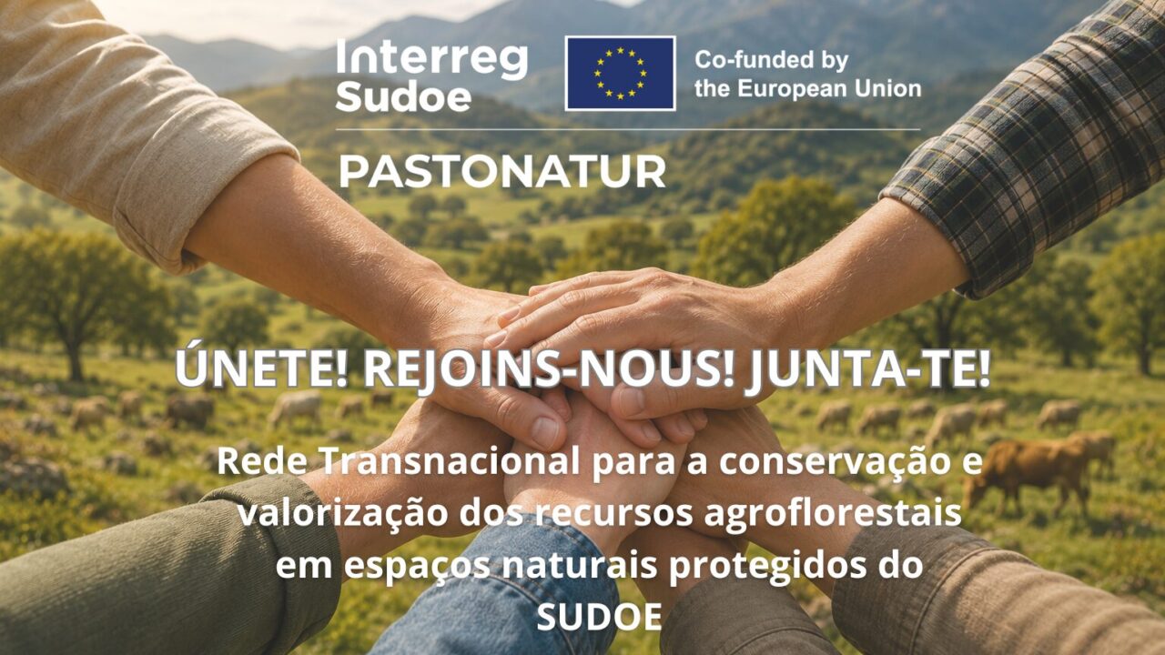 Noticia_PT