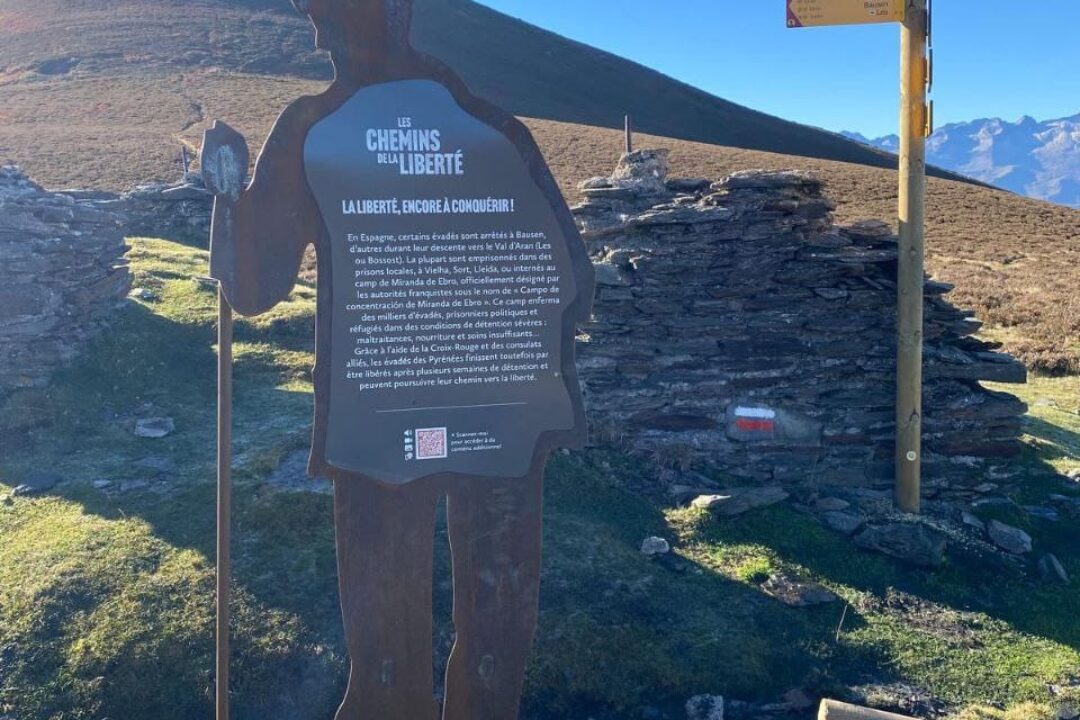 PHOTO-2026-01-14-13-11-50