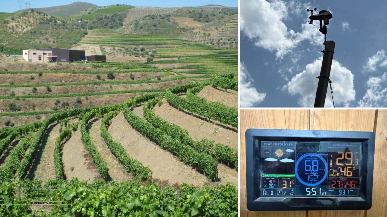 Piloto CIM Douro 2
