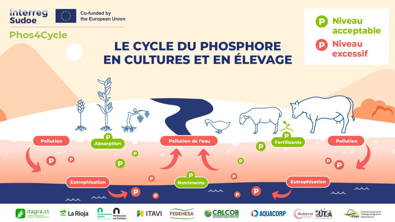 PlanFin_Franc╠ºais