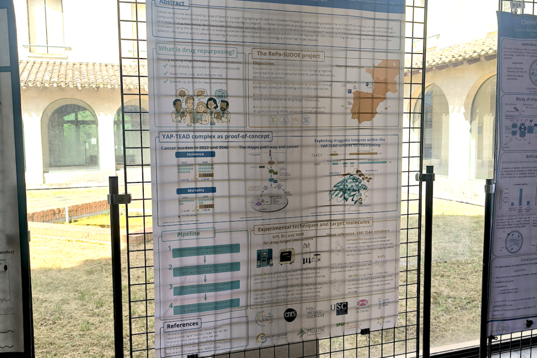RePo-SUDOE Francia 2