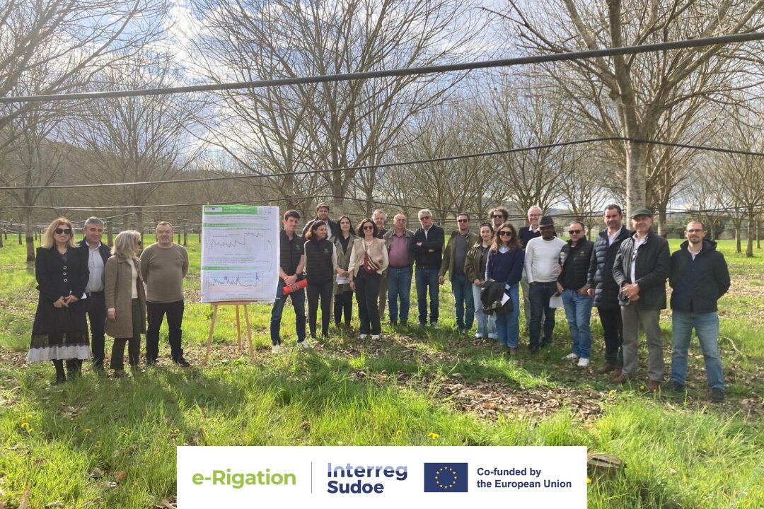 Reunión Périgueux (1)