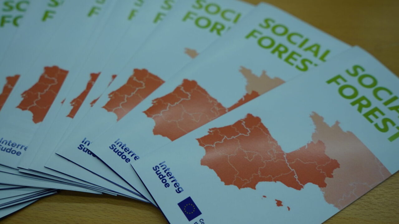 Reunión social forest toledo, charlas (16)