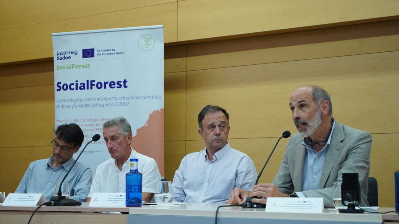 Reunión social forest toledo, charlas (37)