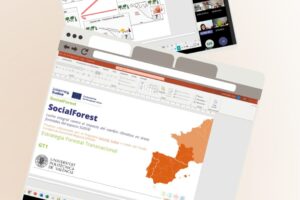 SF reutec