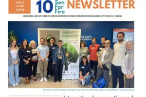 SFF BI 10 EN portada