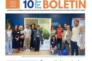 SFF BI 10 ES portada