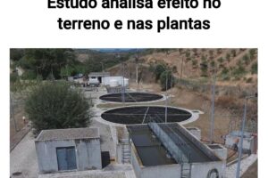Portada reportaje del IPB en SIC noticias