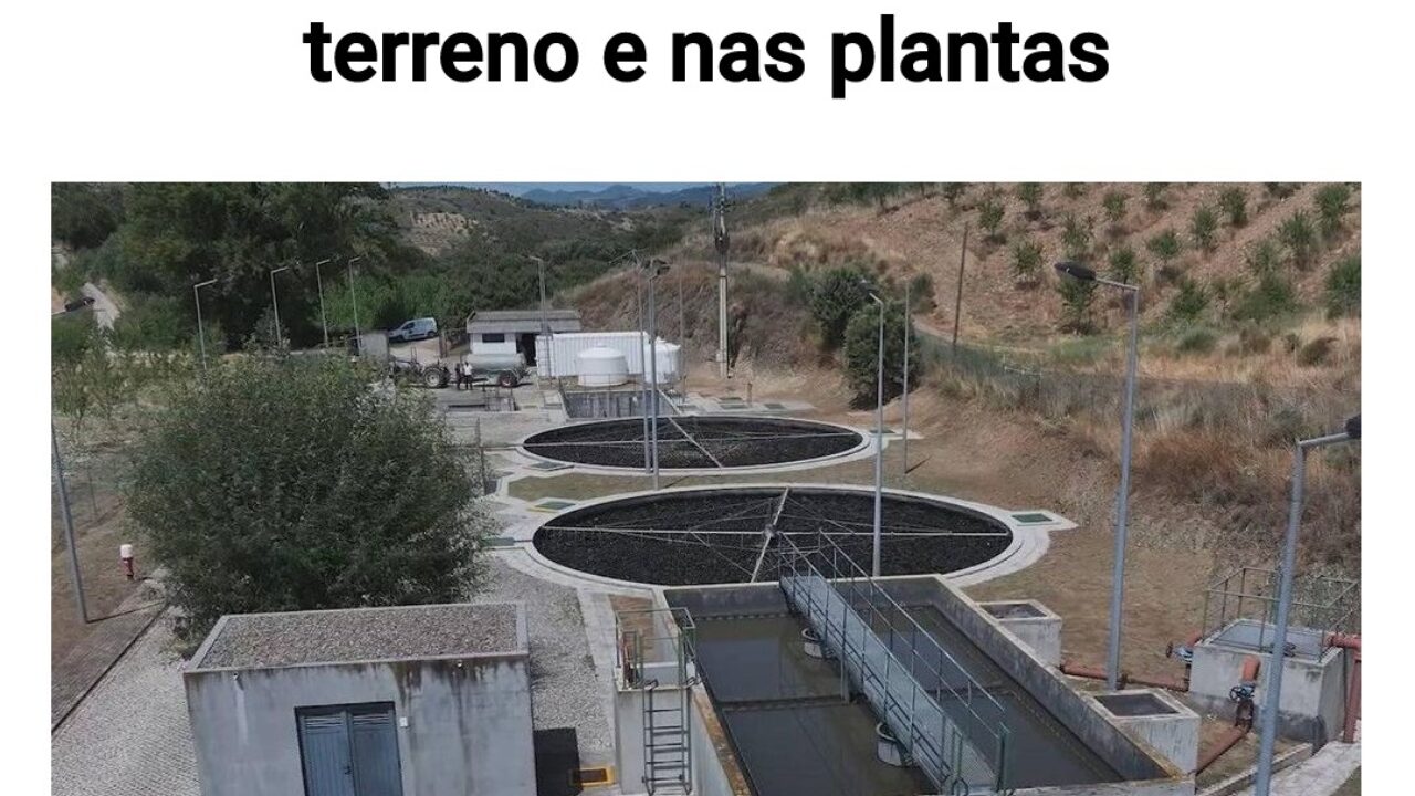 Portada reportaje del IPB en SIC noticias