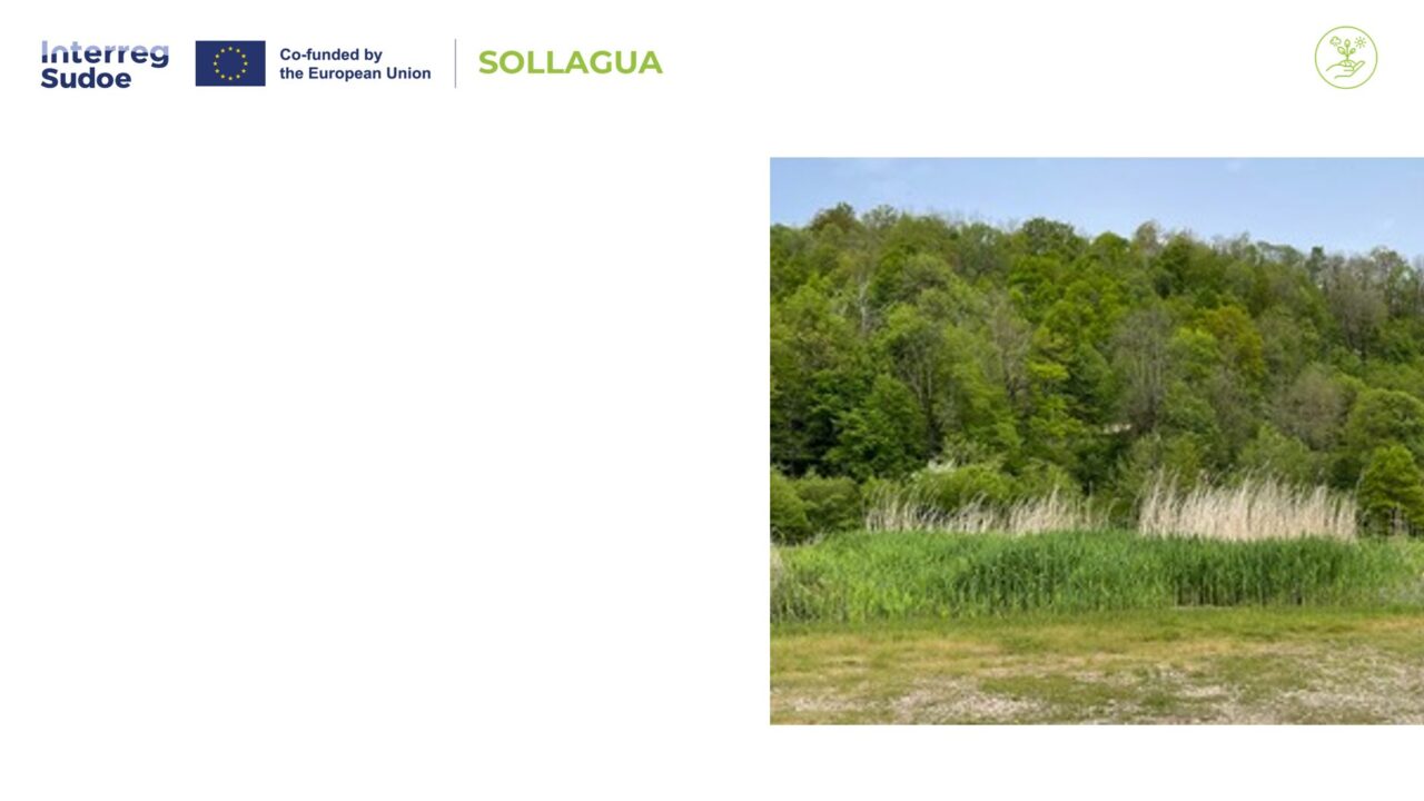 SOLLAGUA WORKSHOP PIC