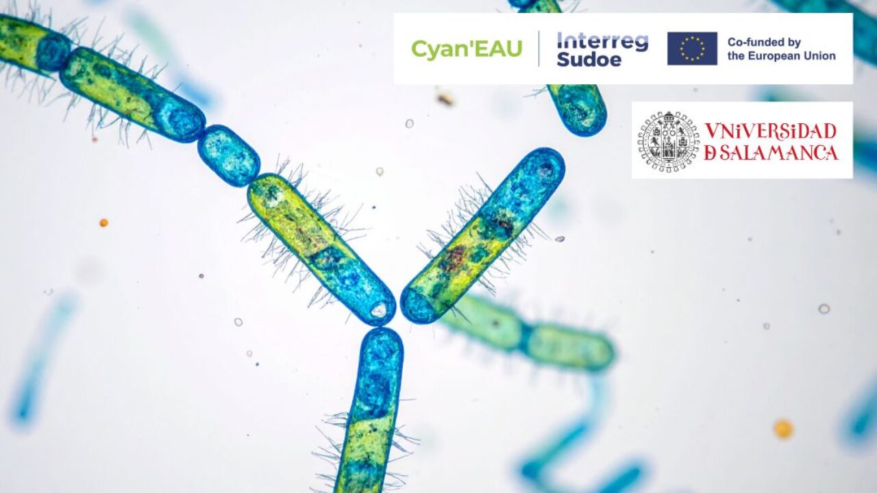 Taller USAL Cyan'EAU (1)
