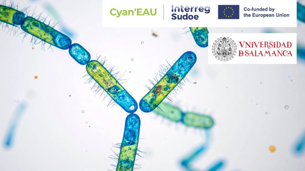 Taller USAL Cyan'EAU