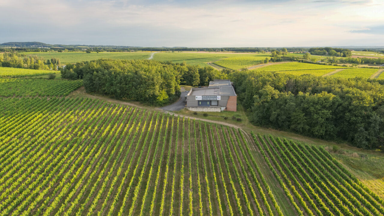 Vinopôle