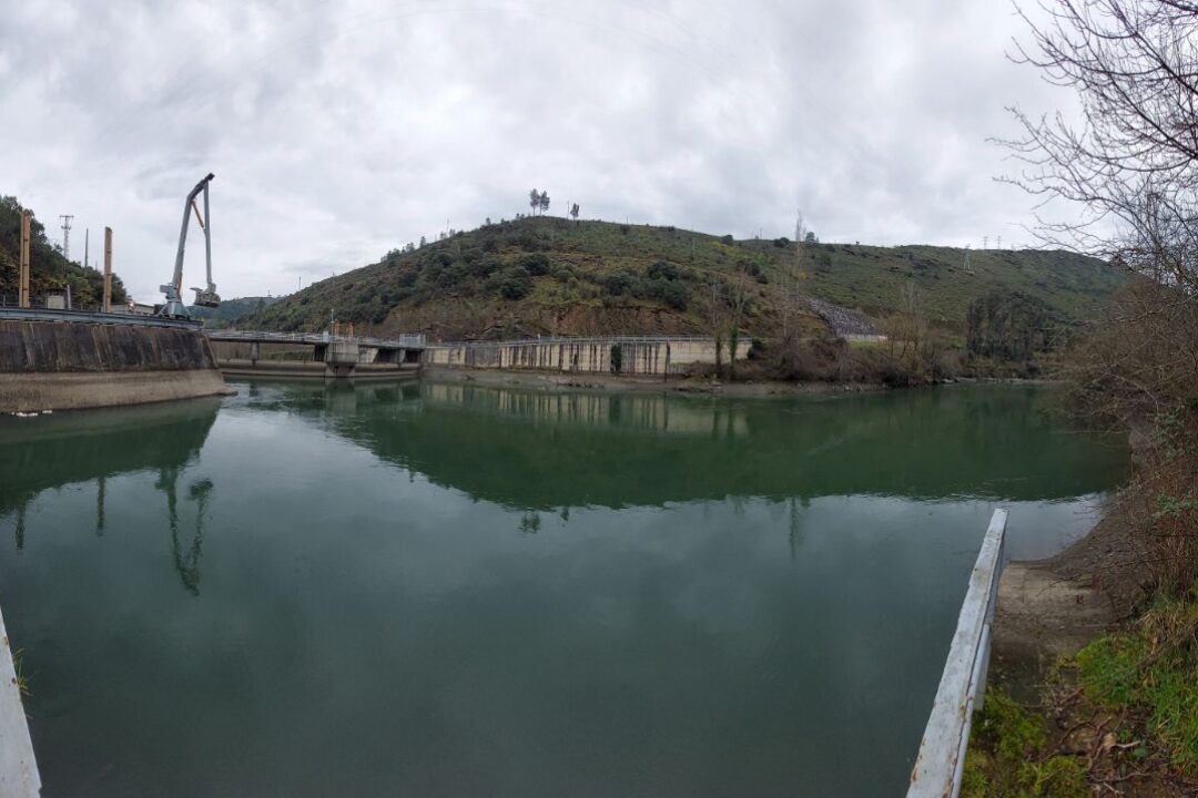 WhatsApp Image 2025-02-17 at 09.34.46 (1)