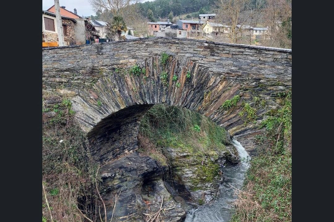 WhatsApp Image 2025-02-17 at 09.34.46