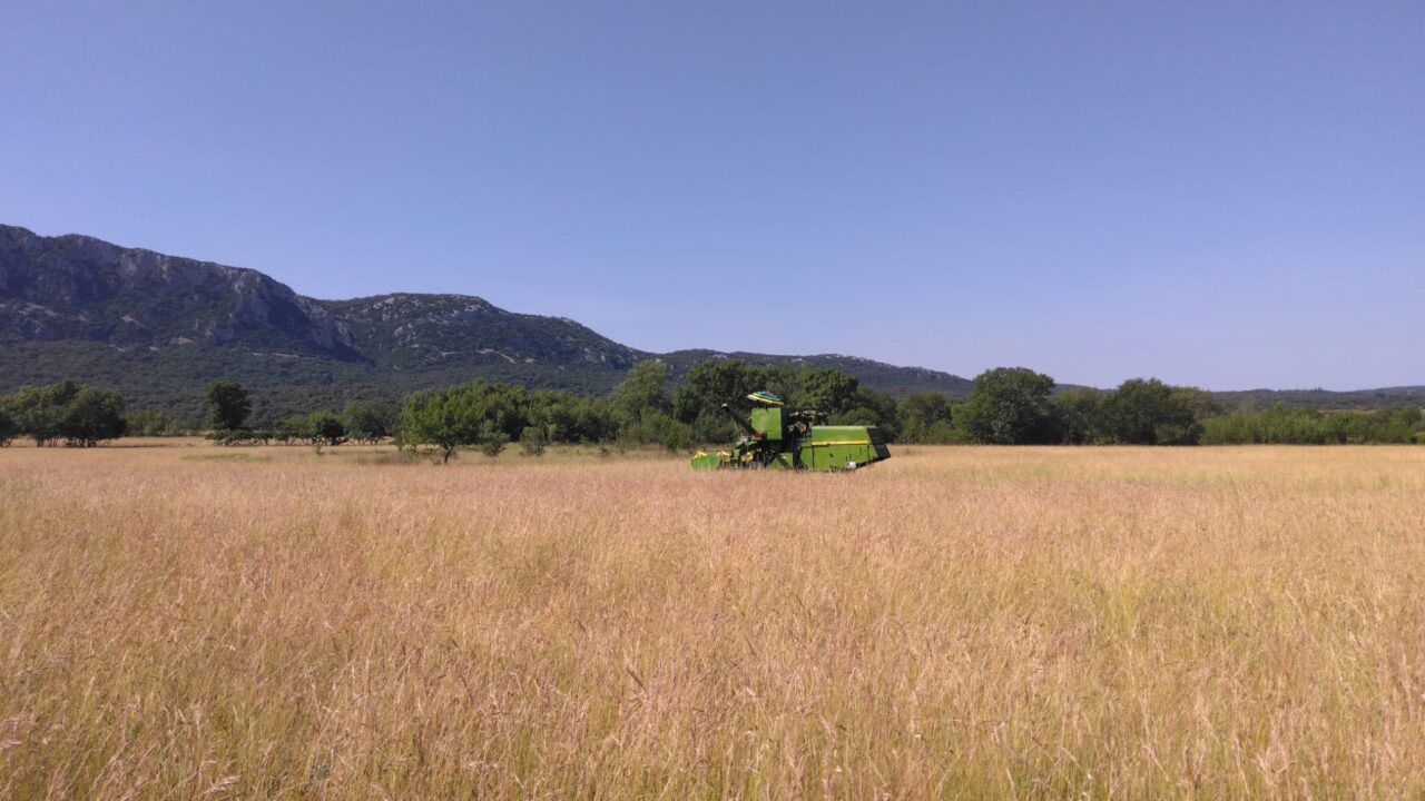 WhatsApp Image 2025-06-16 at 12.07.02 (1)