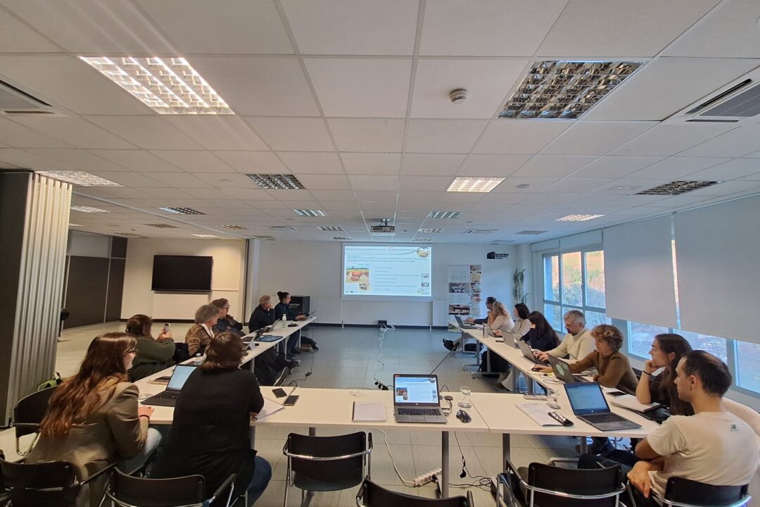 WhatsApp Image 2025-12-12 at 10.39.31 (4)