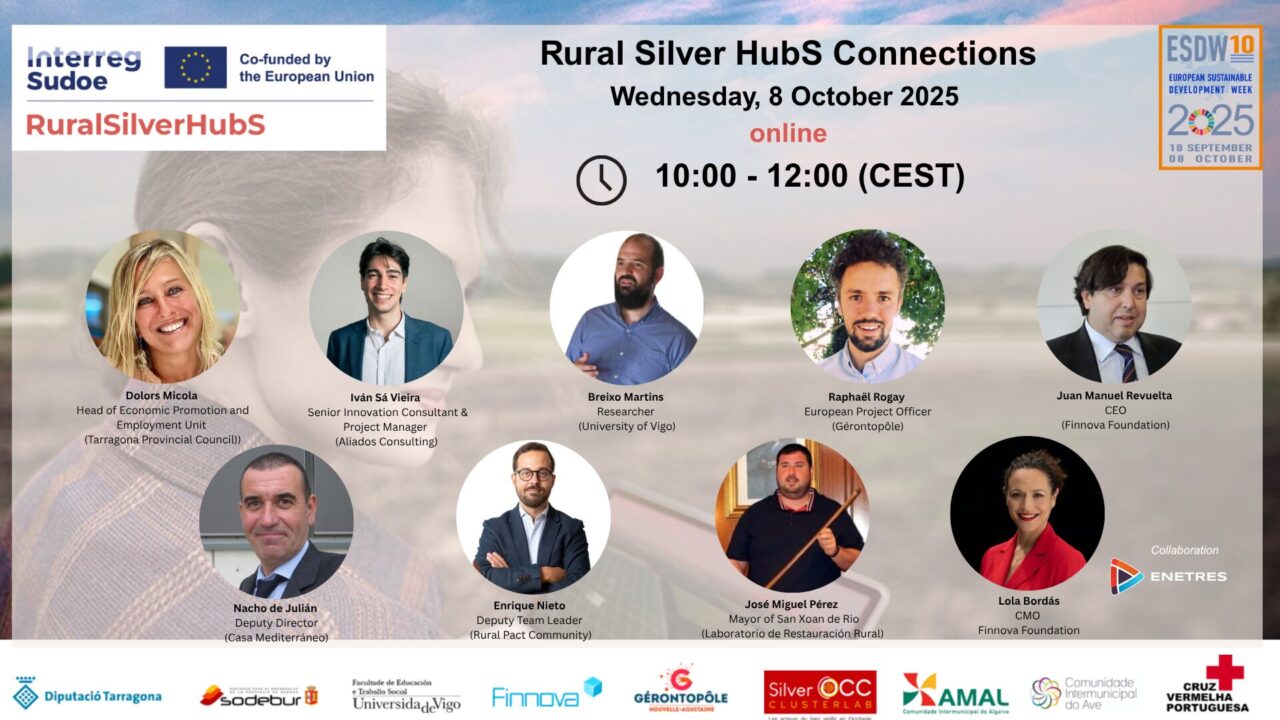 RuralSilverHubs Connections