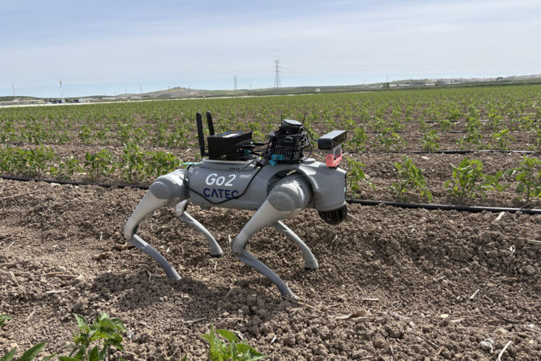 catec_robot1