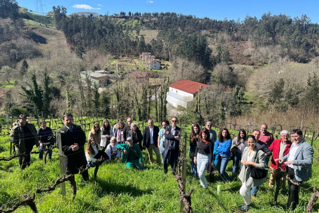 ECOSPHEREWINES consorcio