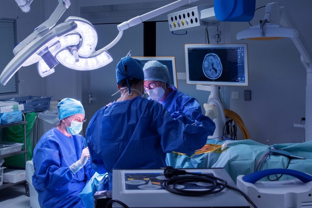 genesu_foto pricipla-mas azul