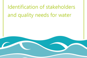 identification of the stakeholdersss