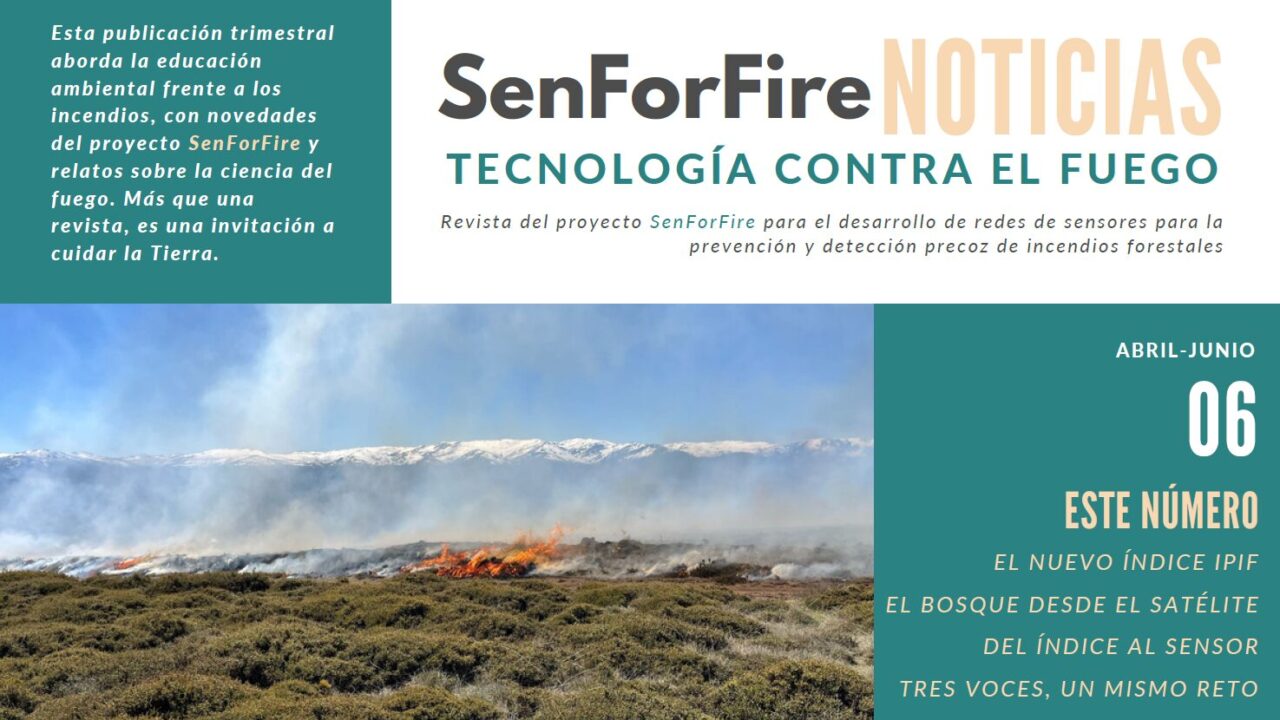imagen destacada es revista 6