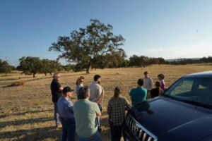 social forest toledo, visita de campo, enfermedad de la seca, encinas y alcornoques (2)