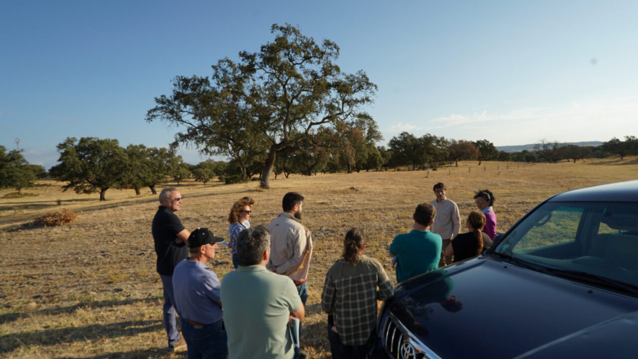 social forest toledo, visita de campo, enfermedad de la seca, encinas y alcornoques (2)